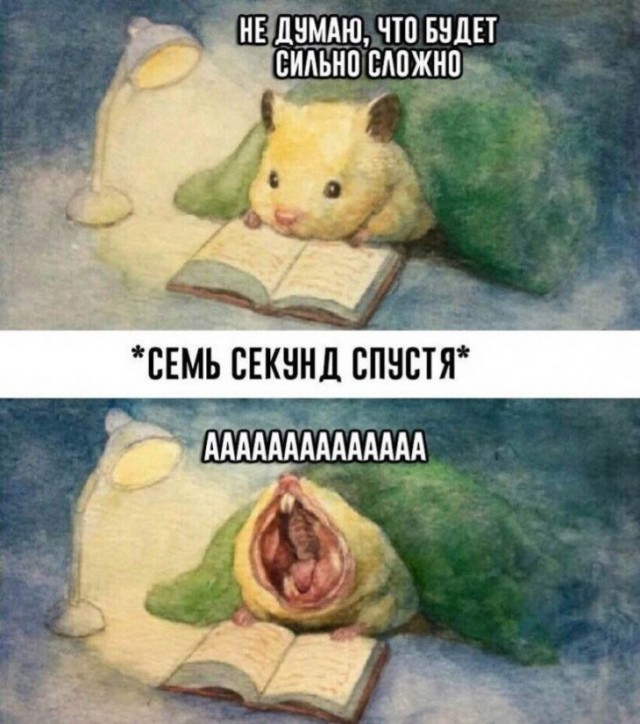 Немного картинок для настроения
