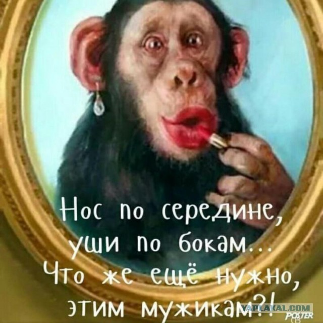 Это вам не инстаграмм (январь)