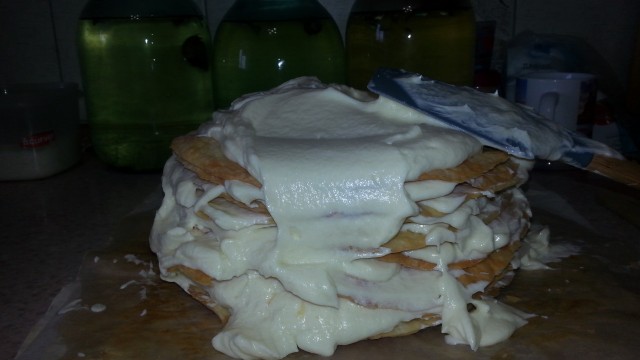 Очередной Наполеон (не полководец)