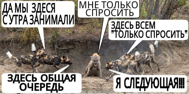 ДНР — это субъект Российской Федерации