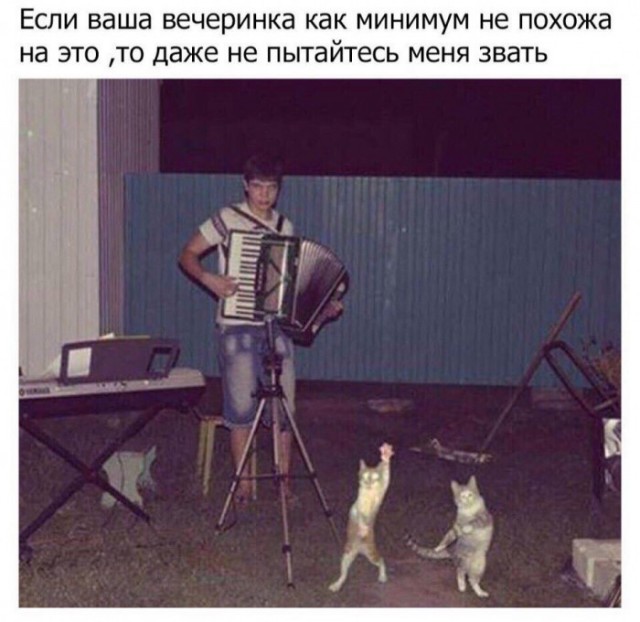 Фотки и картинки: юморные и красивые, забавные и милые 19.09.20