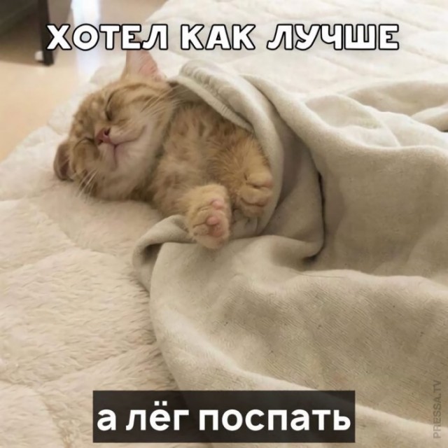 Картинки и мемы для настроения 008