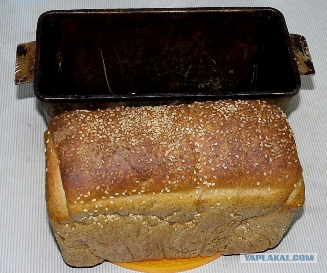 Хлеб-рулет из холода (не холодец!:))