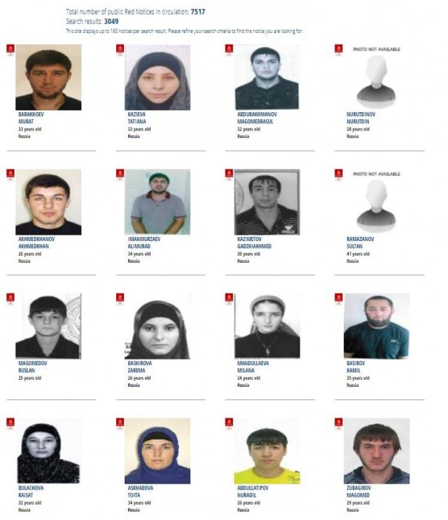 Особенности состава разыскиваемых преступников из РФ по данным Интерпола