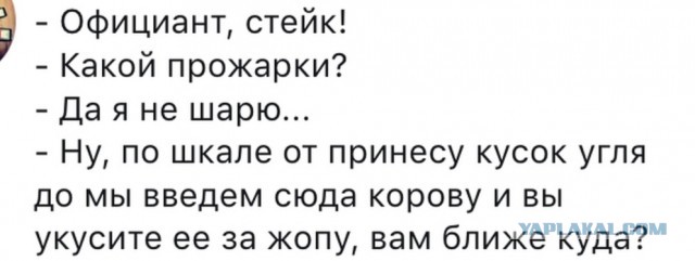 18 разных стейков: чем они отличаются и как их правильно жарить