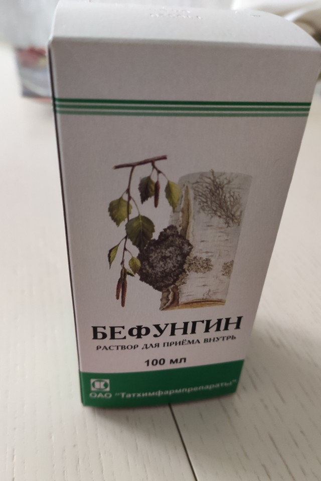 Чага - берёзовый гриб