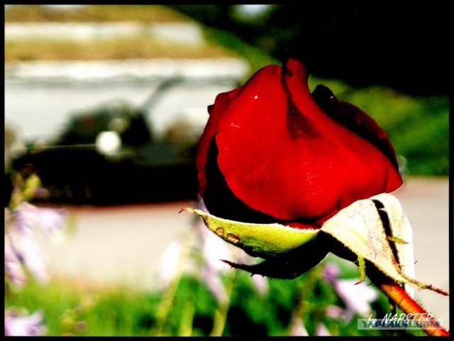 Реклама российской армии