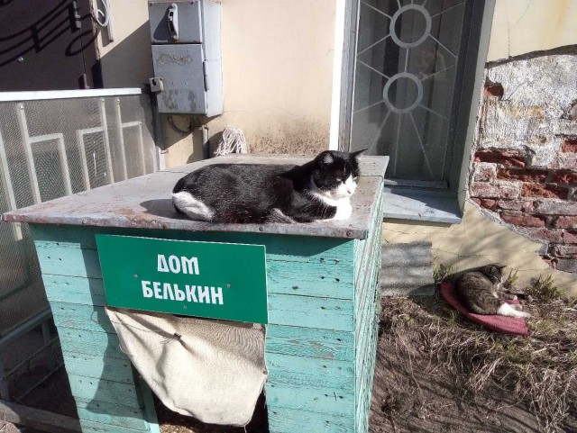 Подборка всякой живности
