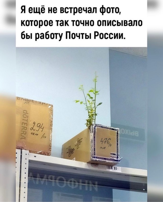 Картинки и мемы для настроения 026