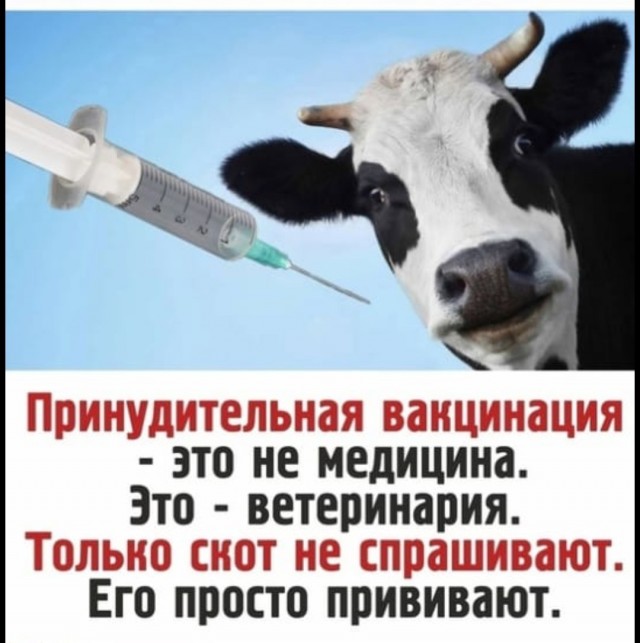 Хореограф группы Тутберидзе: «Мы просто стая обезьянок в зоопарке, где старший брат ставит над нами эксперименты»