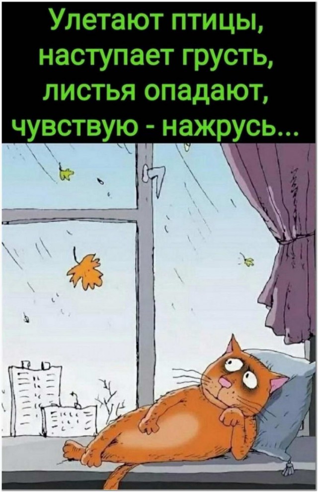 Картинки и мемы для настроения 06.10.2021