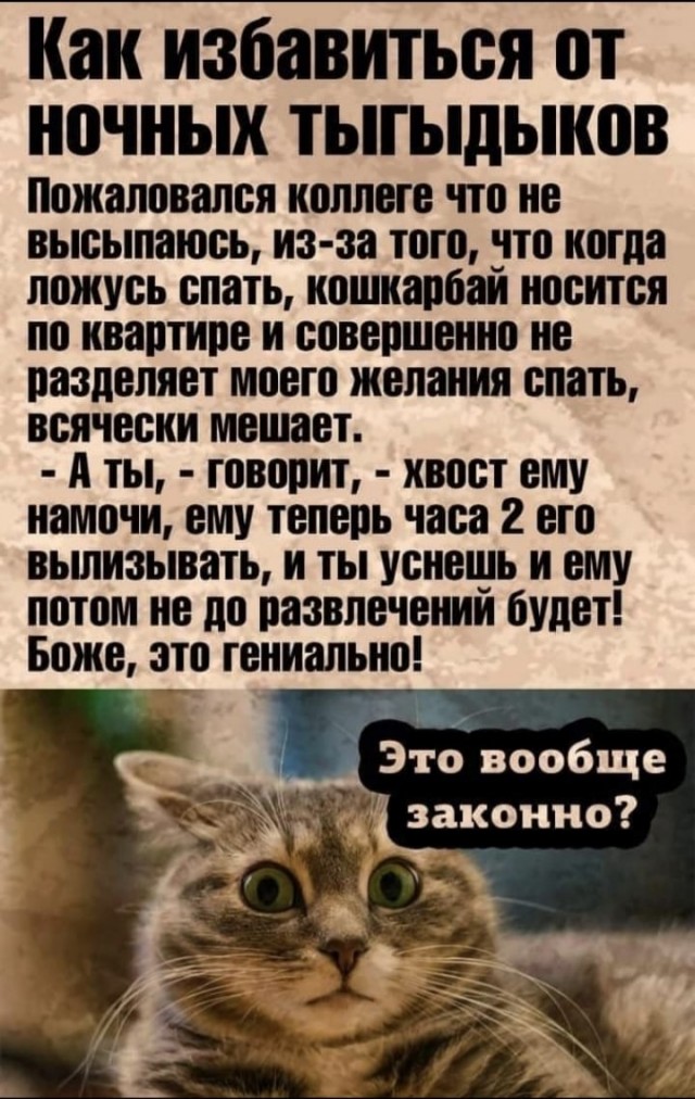 https://s00.yaplakal.com/pics/pics_preview/2/3/1/16274132.jpg