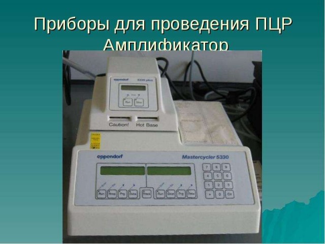 ПЦР-тест фрукта киви на наличие вируса COVID-19 дал положительный  результат