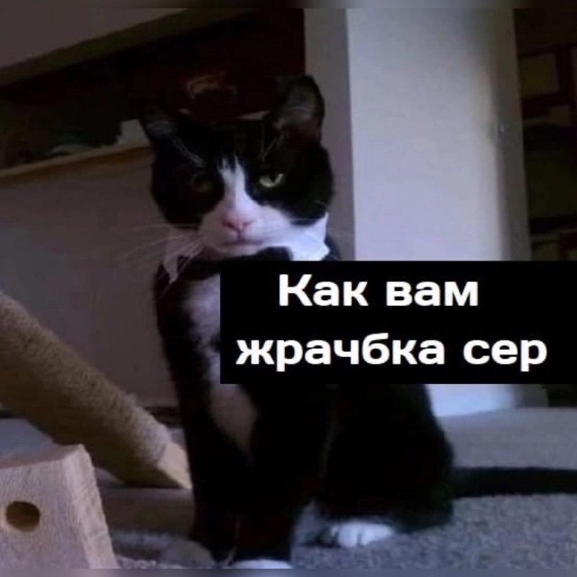 Случай в ресторане