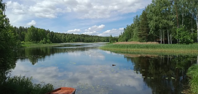 Для успокоения нервной системы