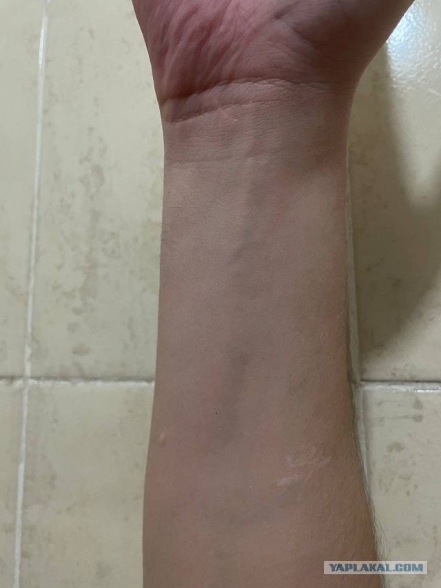 Мыть кота