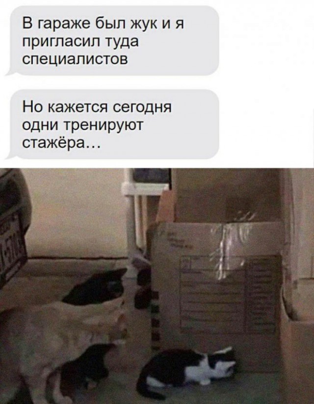 Картинки и мемы для настроения 31.03.2022