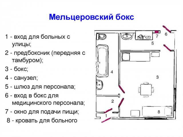 Пандемия съехавших крыш - разновидности болезни. Россия и мир. Часть 38