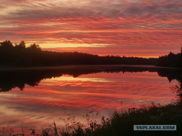 Поделимся красивыми фото с телефона?