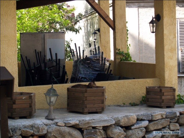 Франция. Корсика.