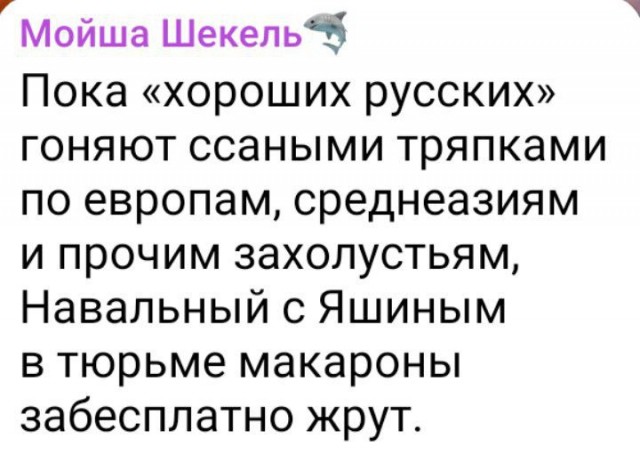 Путина спросили про «зверский» срок для Ильи Яшина. «Это кто такой?» — ответил президент