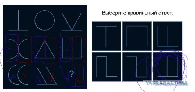 А какой у Вас IQ?