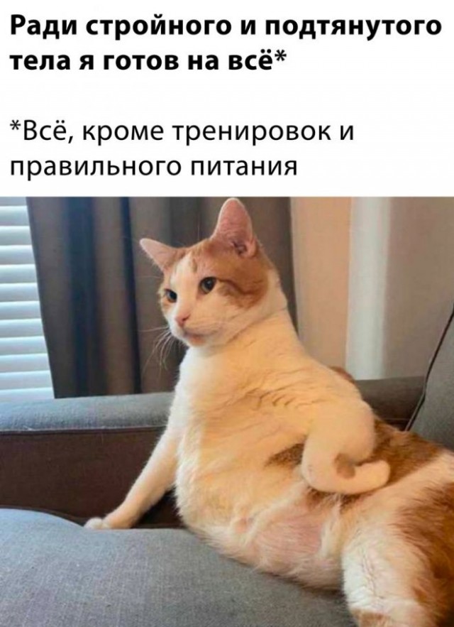 Картинки и мемы, всем хороших выходных