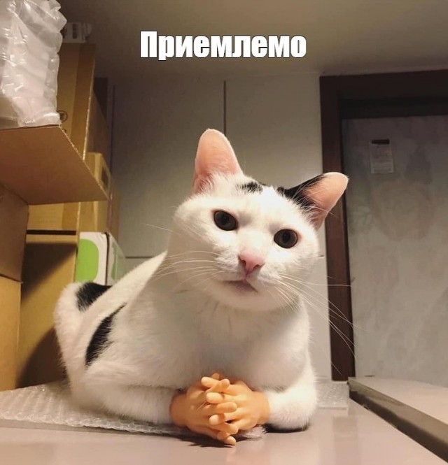Женские деньги или как женщине получать деньги, не работая?
