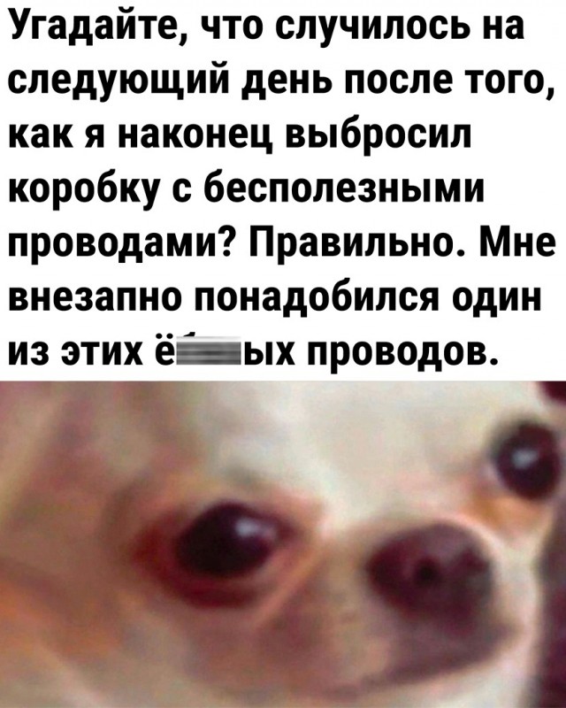 Так себе картинки 06.05.23