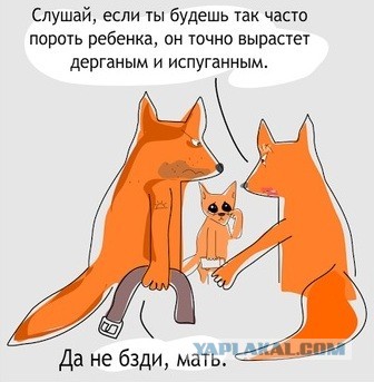 С чего всё началось...