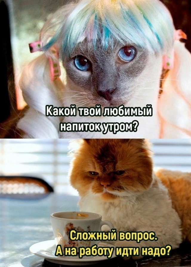 Нуштош 11.09.2023