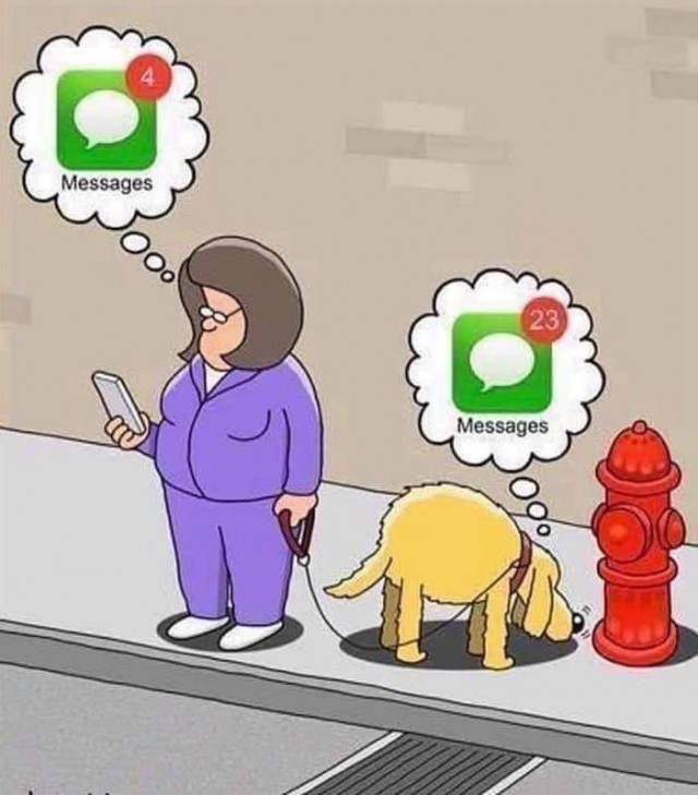Народная меДИЧина 7037