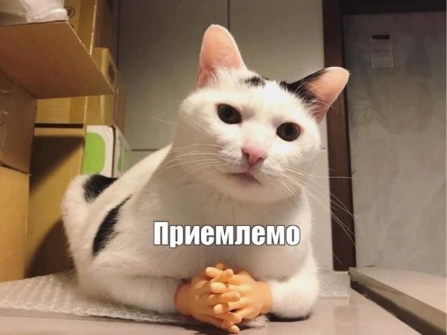 Крошечная студия в 3,4 м² без ванной и туалета сдаётся за 24 тысячи в Беговом районе Москвы