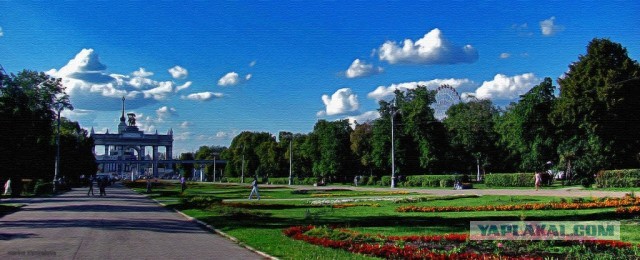 Моя любимая Москва