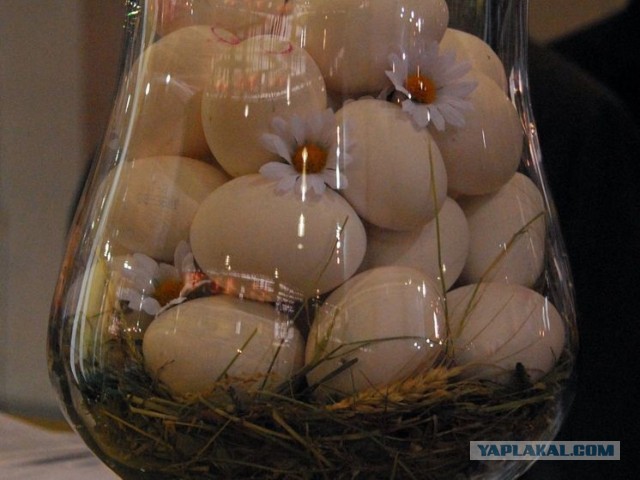 Азербайджан поставил в Россию 36 тонн куриных яиц