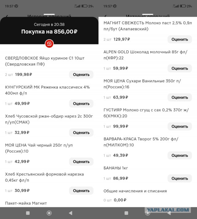 Вот что купила Жена в магазинен на 1500 рублей!