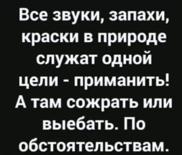 Весёлый полтишок 04.03.24
