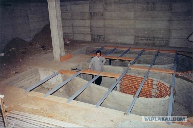 Хотели бы себе такого соседа?