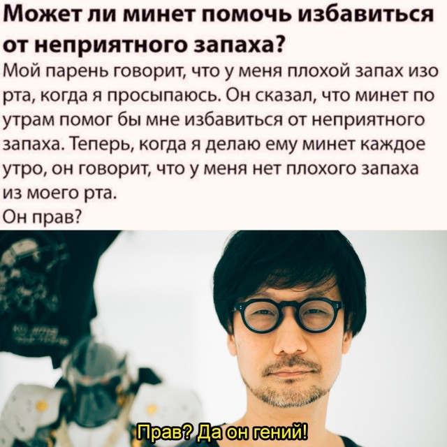Весёлый полтишок 23.06.24