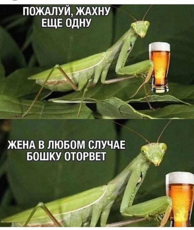 Прикольные и просто красивые картинки 28.06.2024