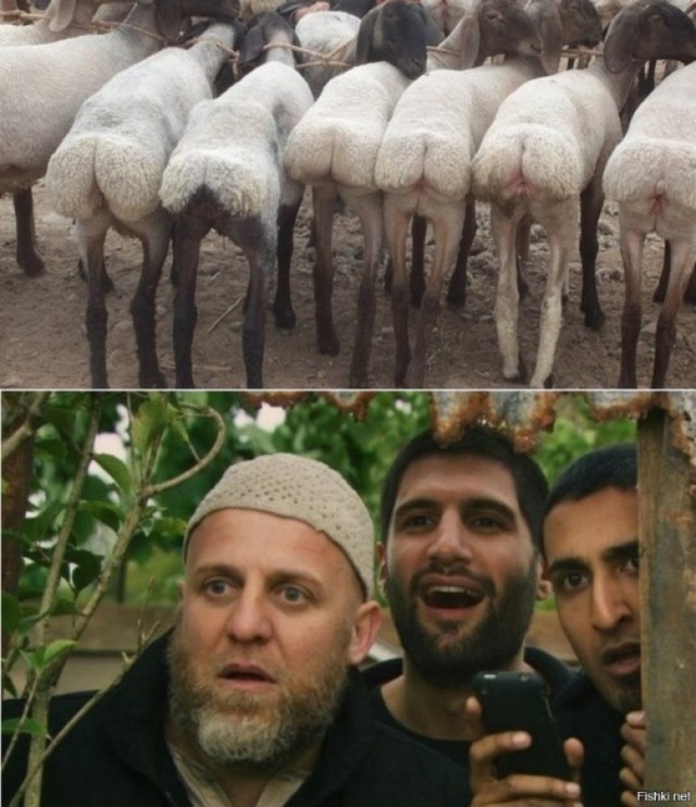 А голуби на крыше.