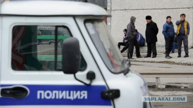 В Госдуме отказались признать мигрантов главными виновниками роста преступности