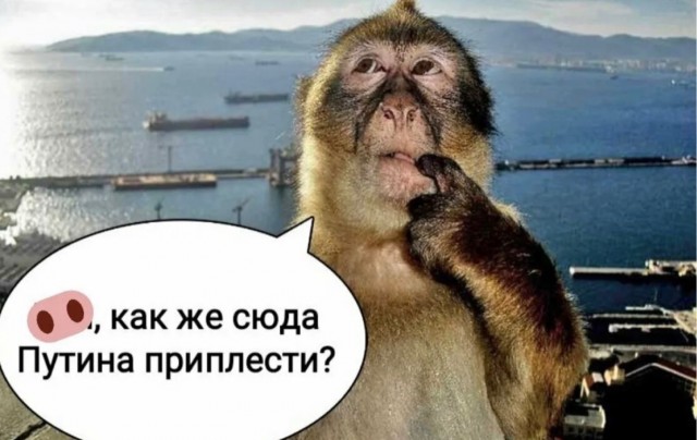 В самой большой семье в Тверской области родился 16-й ребёнок