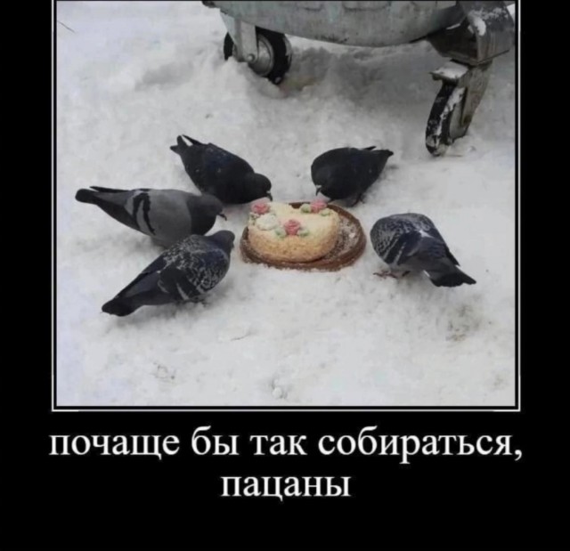 Так себе картинки 02.11.24