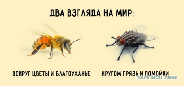 «Наконец-то»