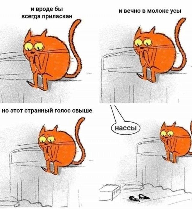 Завалялось тут случайно немного забавных картинок