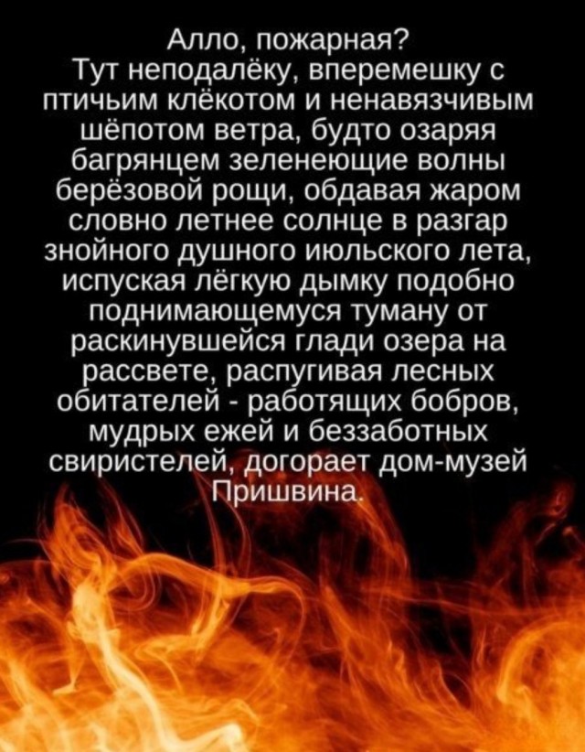 Так себе картинки 06.03.25