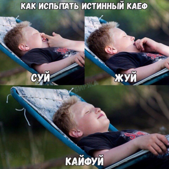 Пятничная дичь