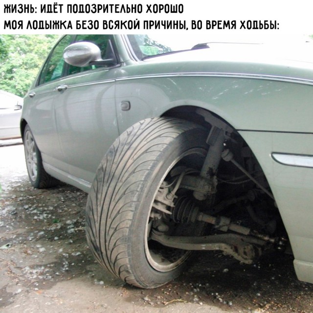 Весёлый полтишок 09.07.25