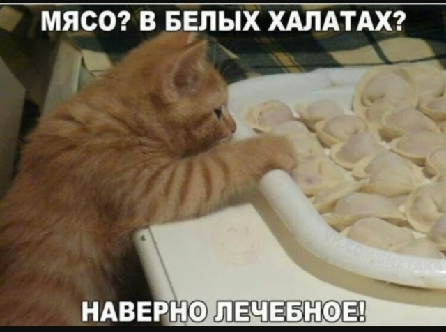 Так себе картинки 18.08.25